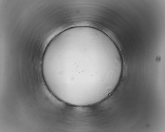 X0000113080805200909182048