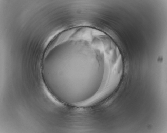 X0000113080806200909182048