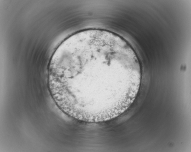 X0000113080807200909182048