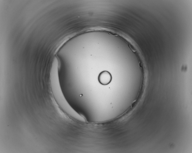 X0000113080809200909182048