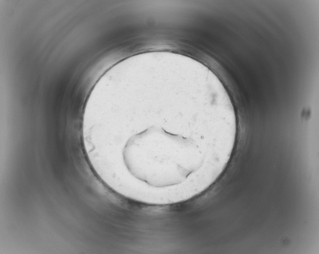 X0000113080810200909182048