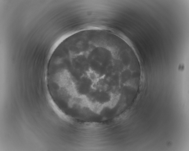 X0000113080811200909182048