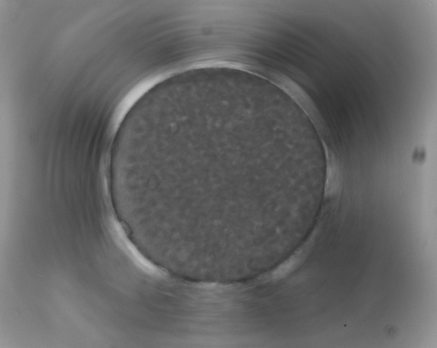 X0000113080812200909182048