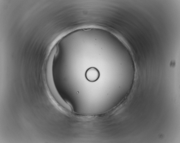 X0000113080813200909182048