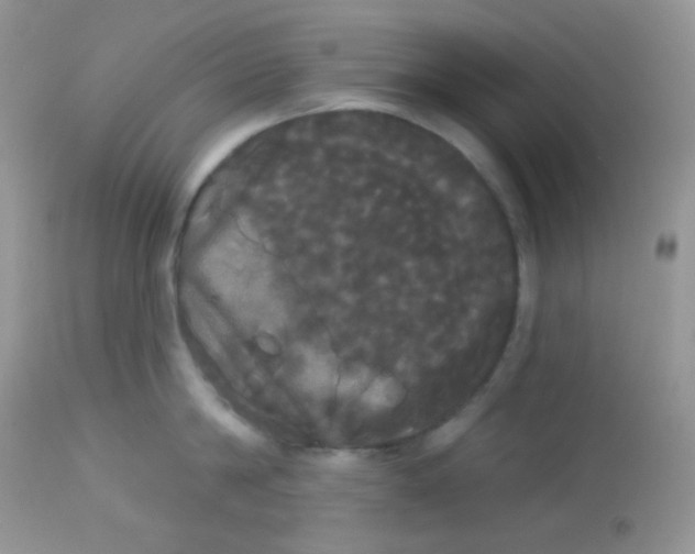 X0000113080814200909182048