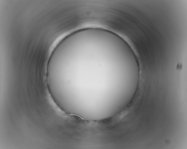 X0000113080815200909182048