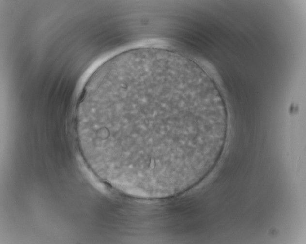 X0000113080816200909182048