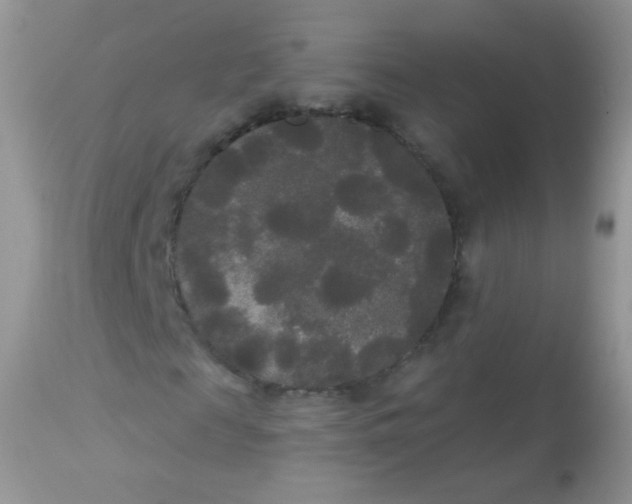 X0000113080817200909182047