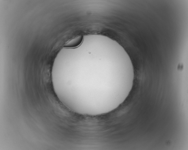 X0000113080818200909182047