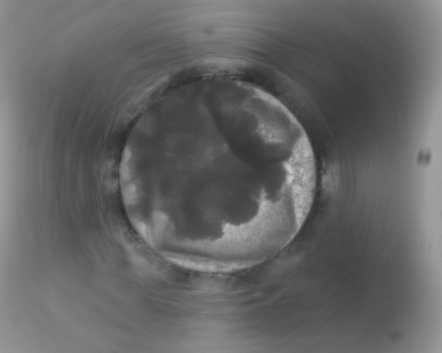 X0000113080819200909182047