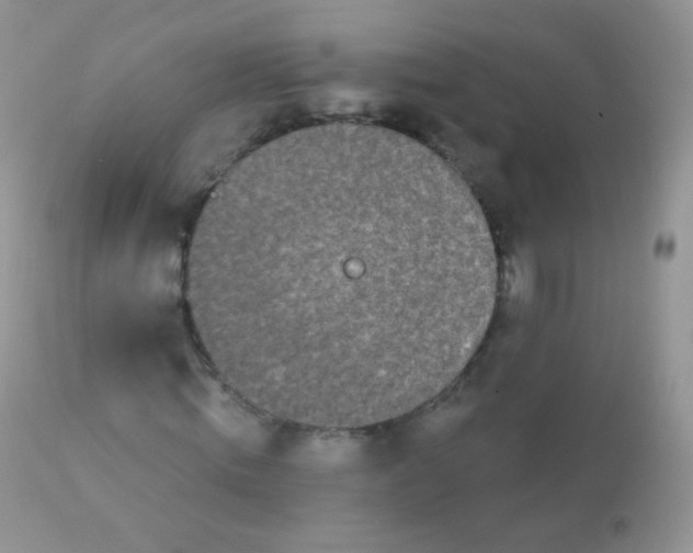 X0000113080820200909182047