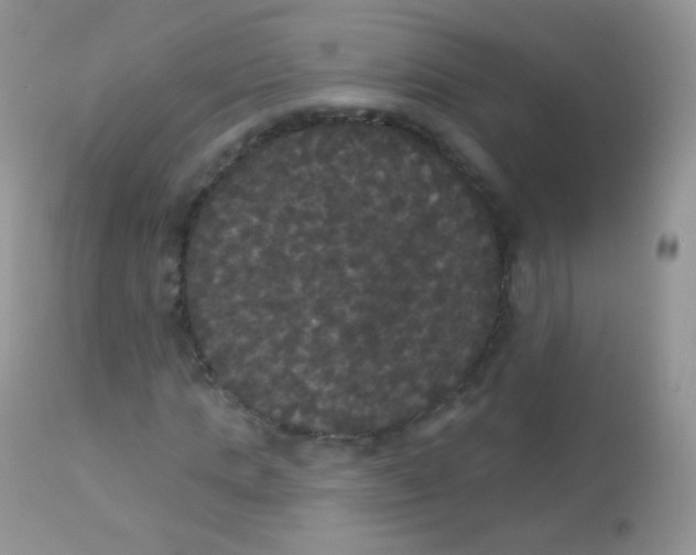 X0000113080821200909182047