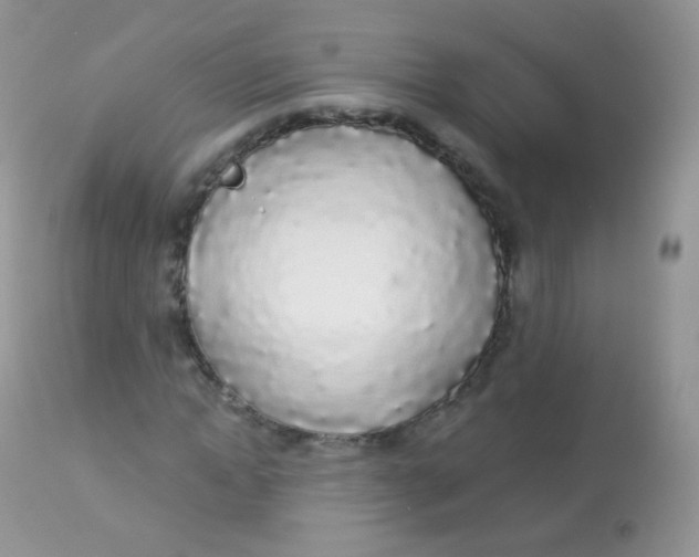 X0000113080822200909182047