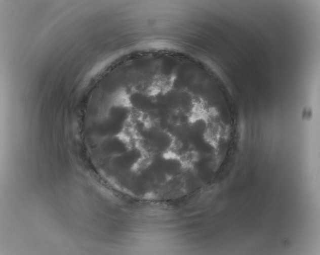 X0000113080823200909182047