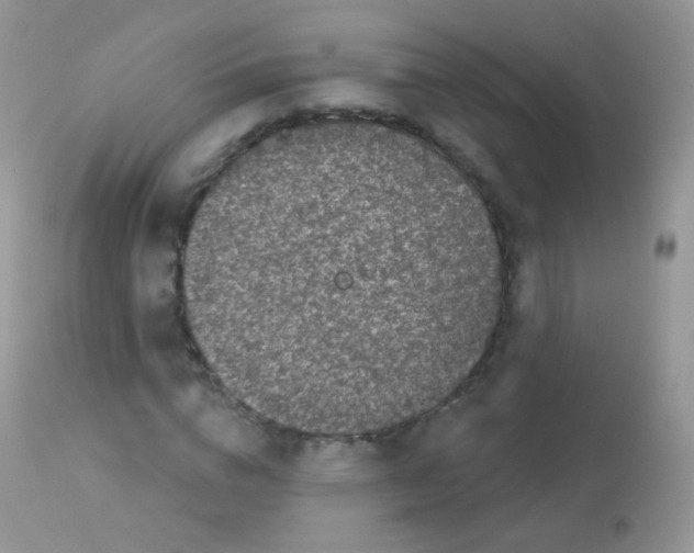 X0000113080824200909182047