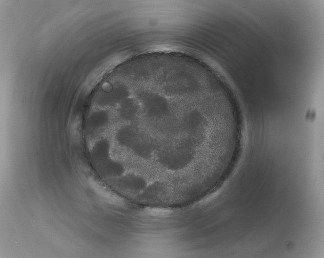 X0000113080825200909182047