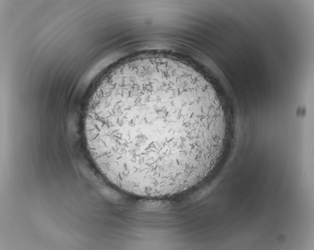 X0000113080826200909182047