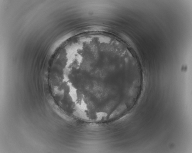 X0000113080827200909182047