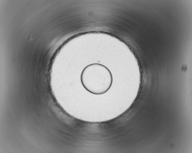 X0000113080828200909182047