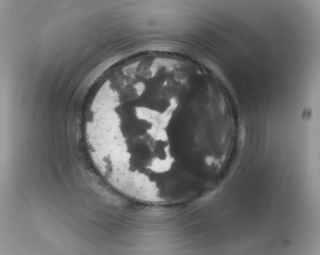 X0000113080829200909182047