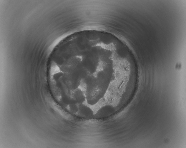 X0000113080830200909182047