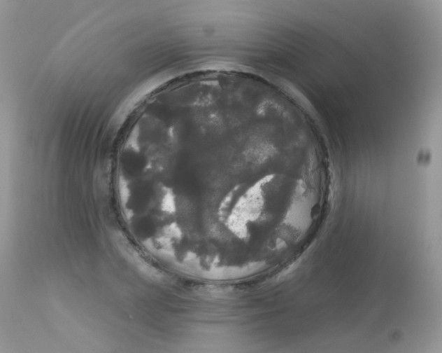 X0000113080831200909182047