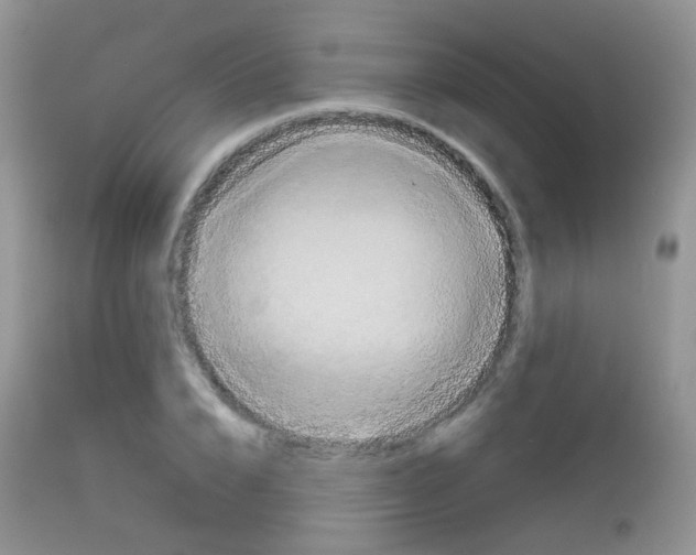 X0000113080832200909182047