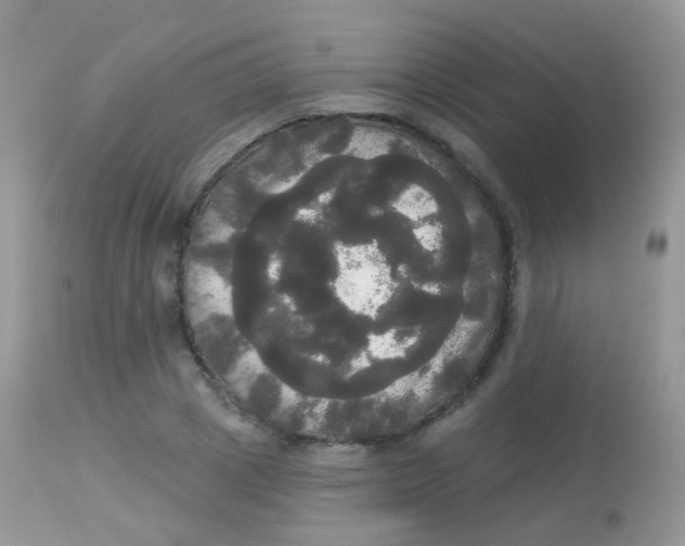 X0000113080833200909182047