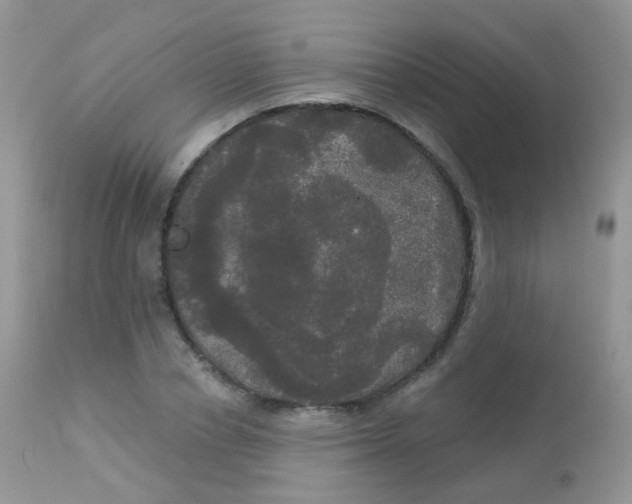 X0000113080834200909182047