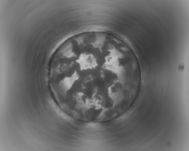 X0000113080835200909182047