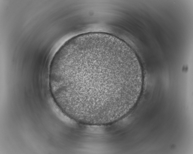 X0000113080836200909182047