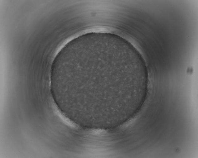 X0000113080837200909182047