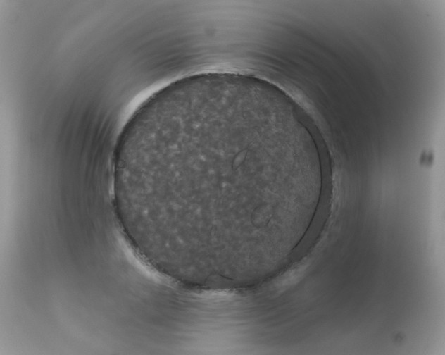 X0000113080838200909182047