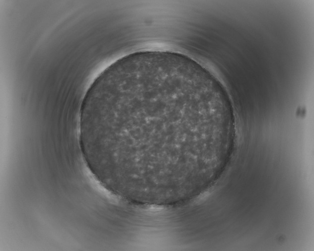 X0000113080839200909182047