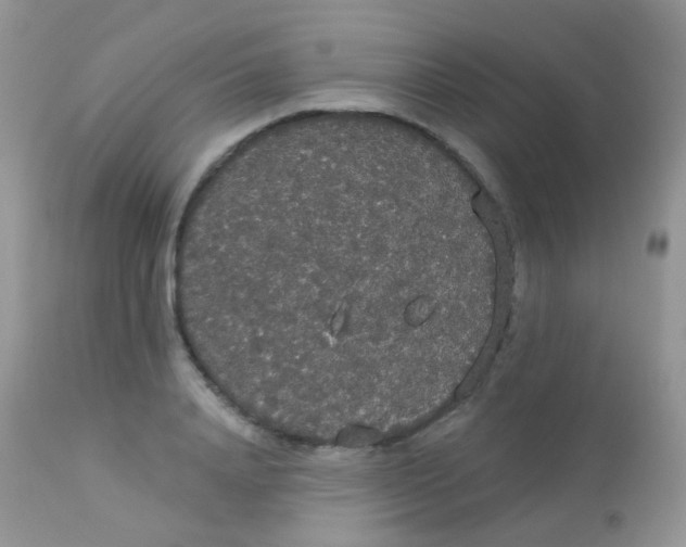 X0000113080840200909182047