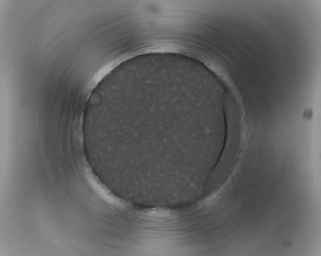 X0000113080842200909182047