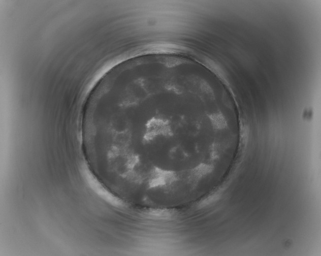 X0000113080843200909182047