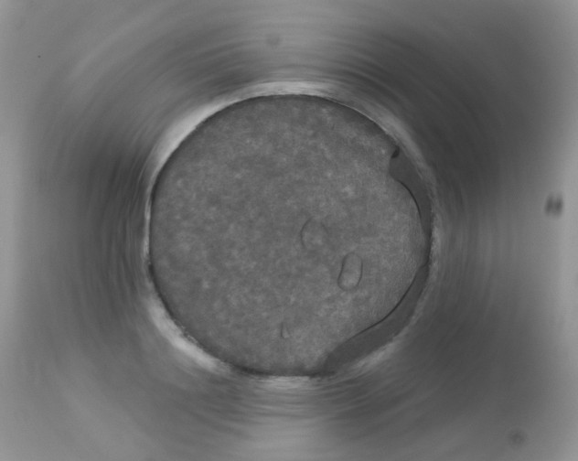 X0000113080844200909182048