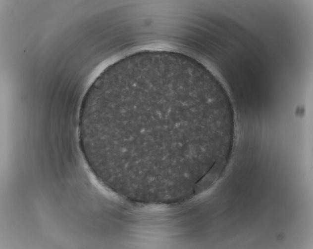 X0000113080845200909182048