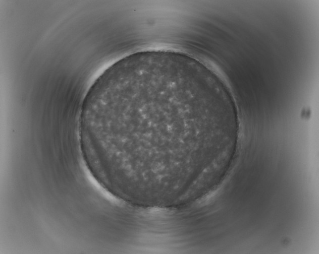 X0000113080847200909182048