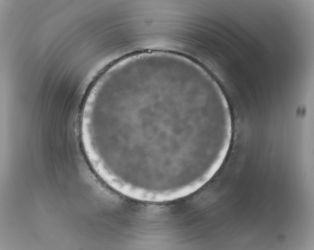 X0000113080848200909182048