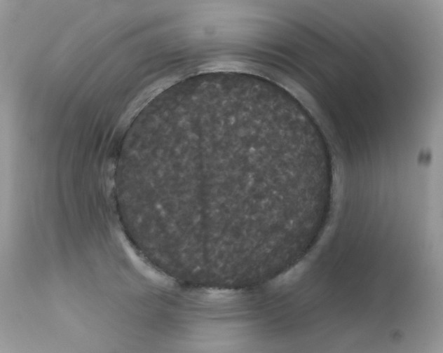 X0000113080849200909182048