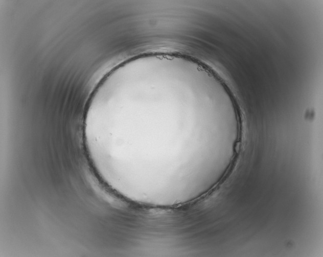 X0000113080850200909182048