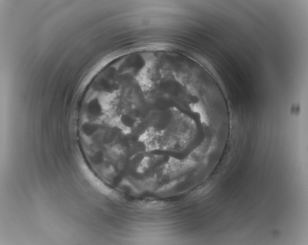 X0000113080851200909182048