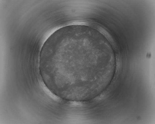 X0000113080852200909182048