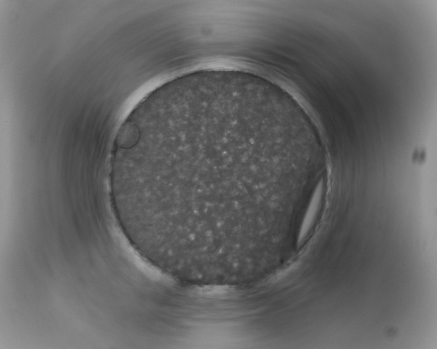 X0000113080853200909182048