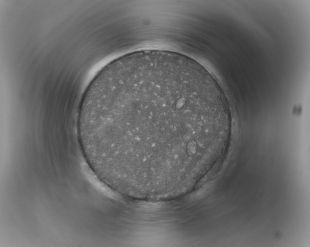 X0000113080854200909182048