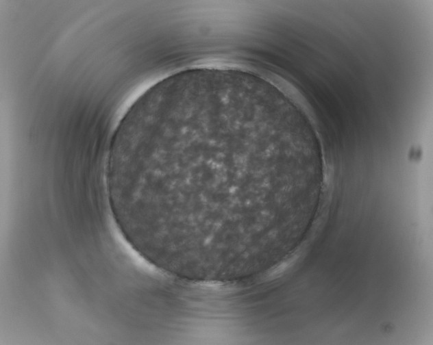 X0000113080855200909182048