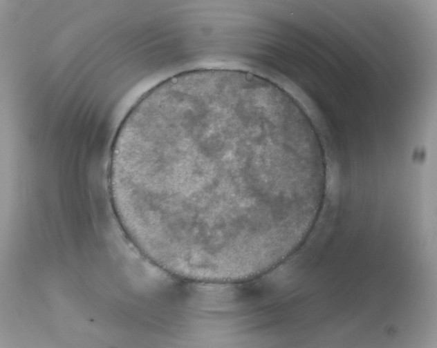 X0000113080856200909182048