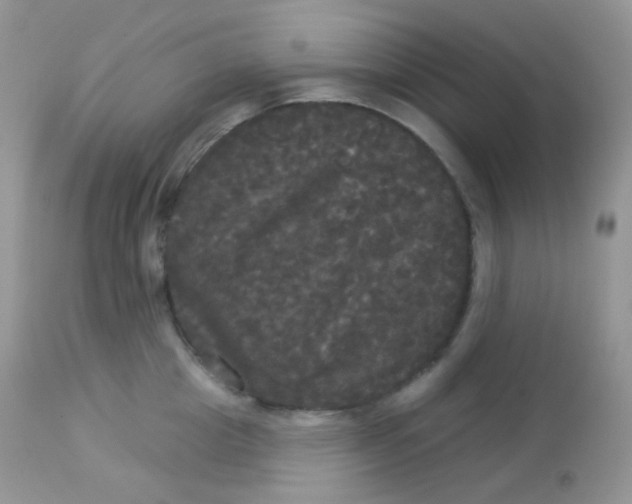 X0000113080857200909182048